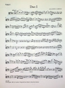 Notenbeispiel / Music example Viola