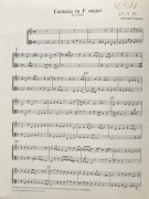 Notenbeispiel / Score example