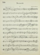 Notenbeispiel / Music example Viola