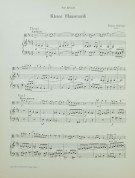 Notenbeispiel / Score example