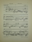 Notenbeispiel / Score example