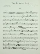 Notenbeispiel / Music example Viola